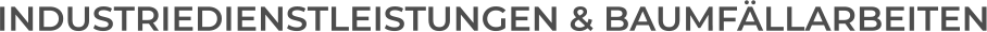 INDUSTRIEDIENSTLEISTUNGEN & BAUMF�LLARBEITEN